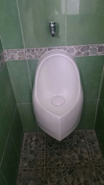 Mingitorios ecológicos Puebla